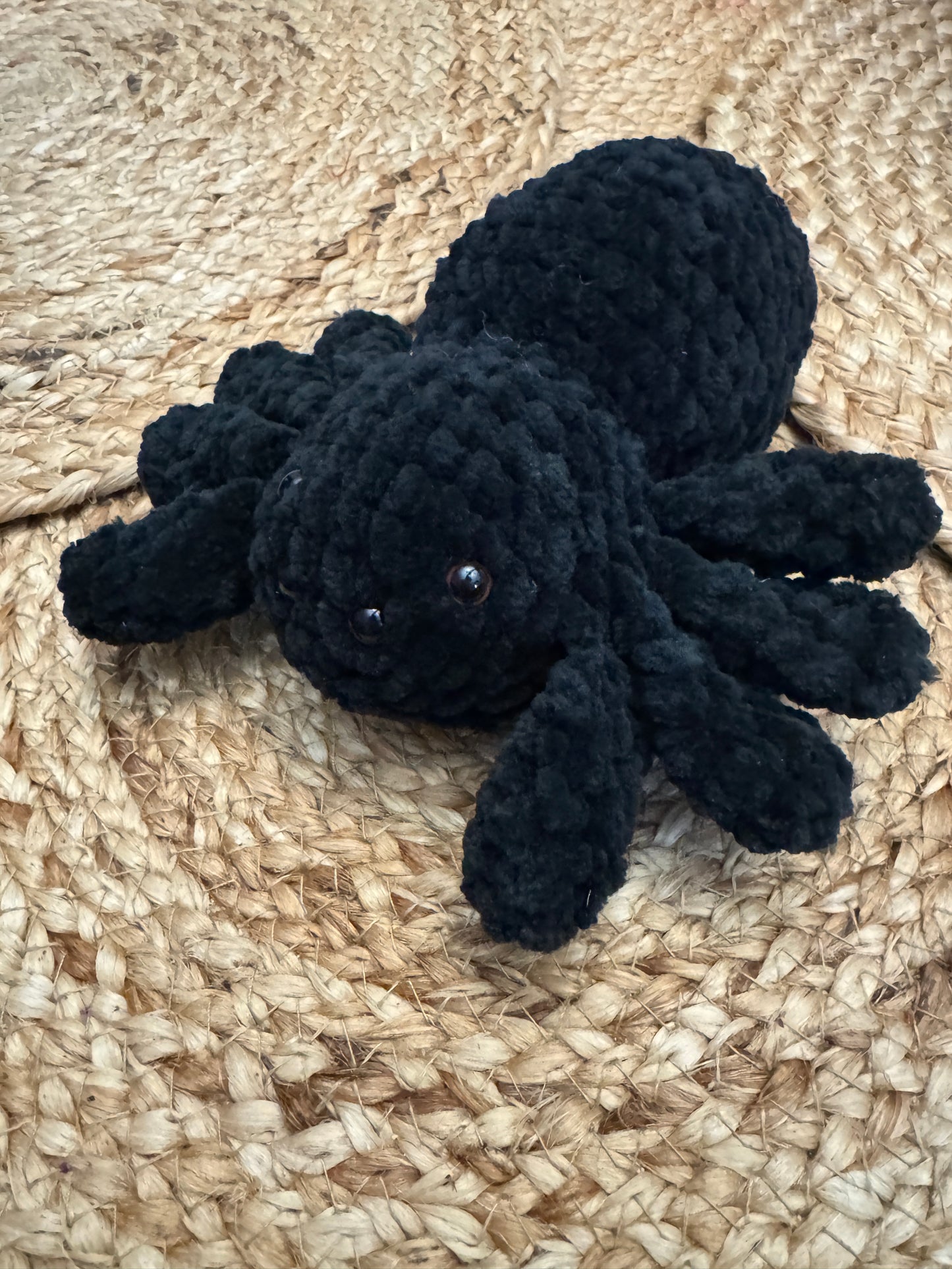 Little Fluffy Spider