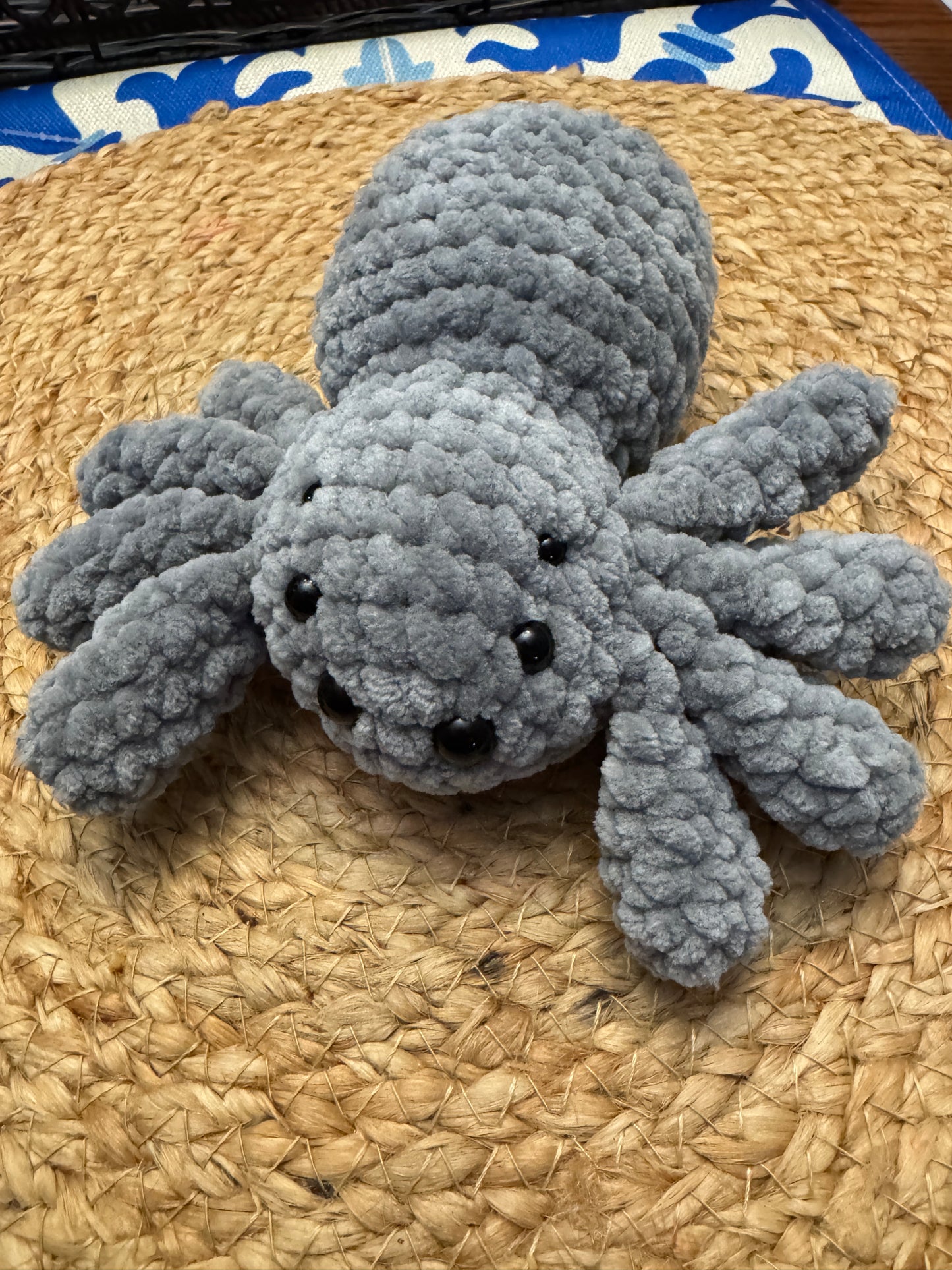 Little Fluffy Spider