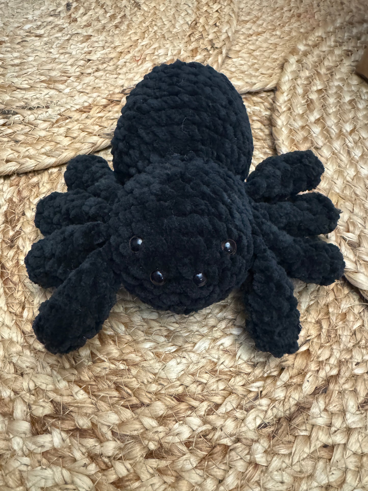 Little Fluffy Spider