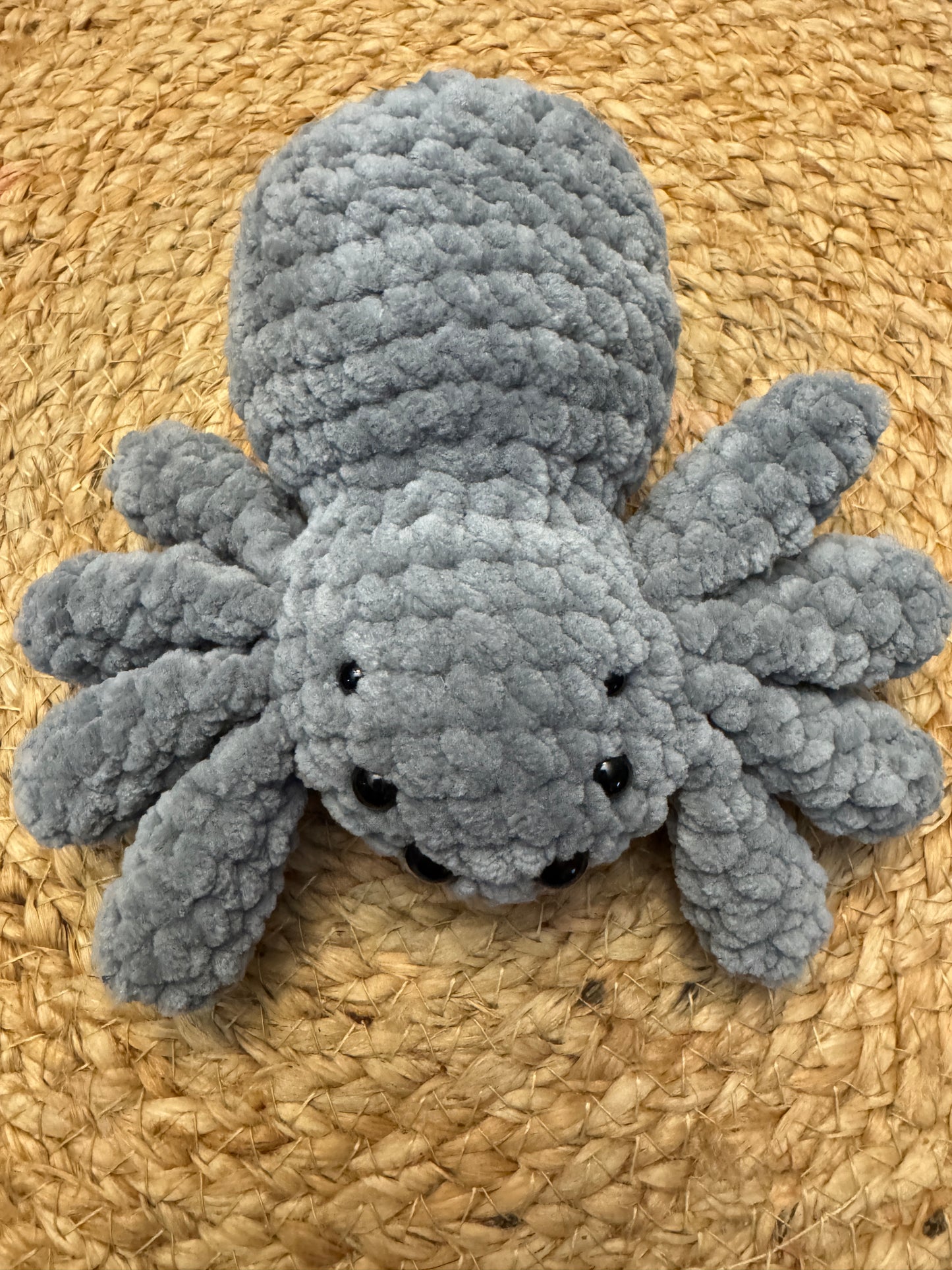 Little Fluffy Spider