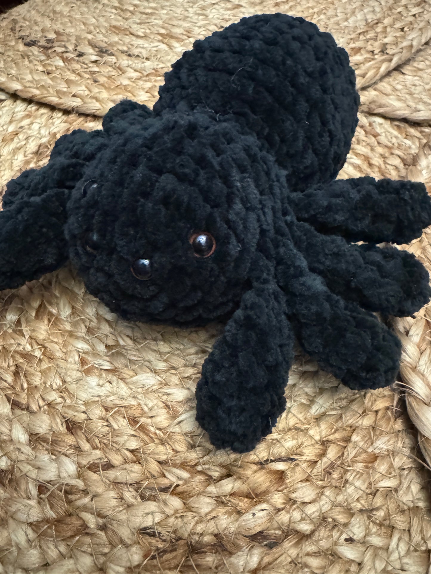 Little Fluffy Spider