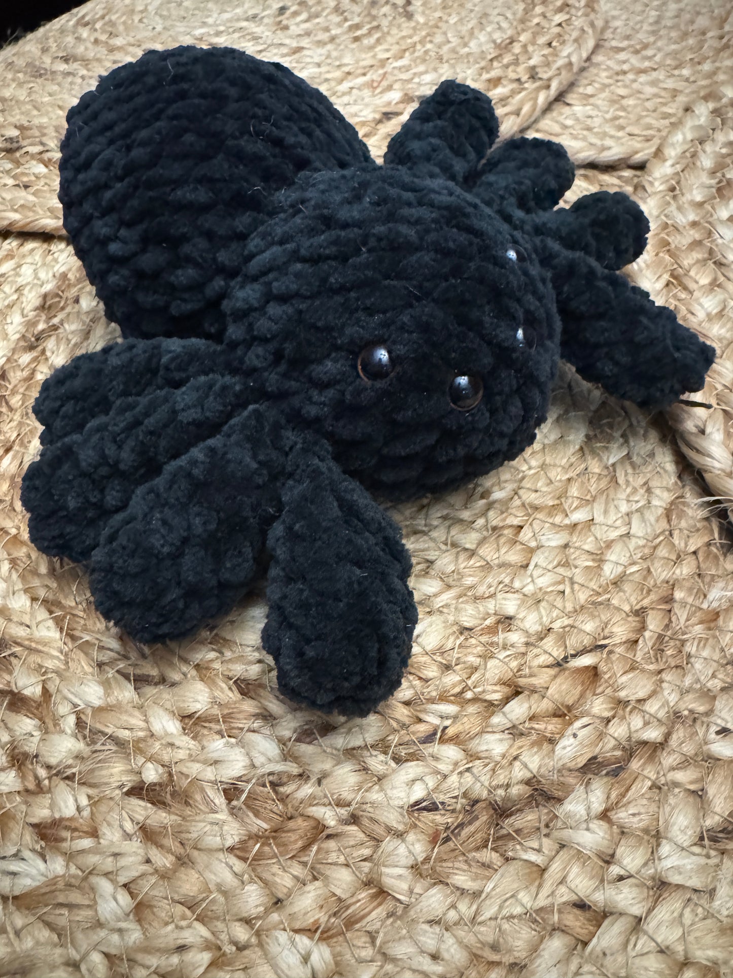 Little Fluffy Spider