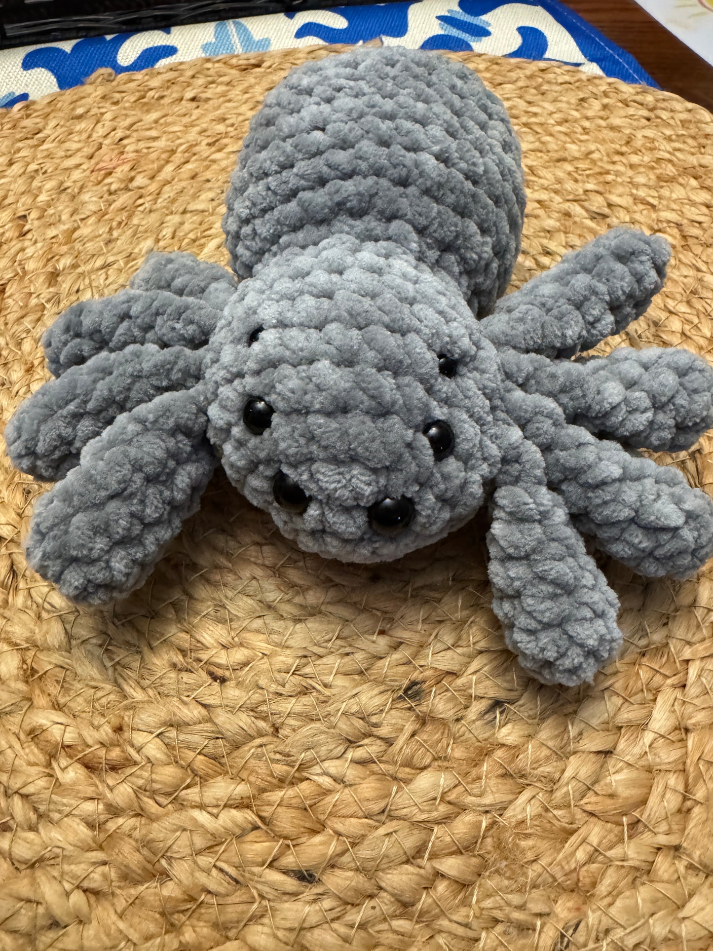 Little Fluffy Spider