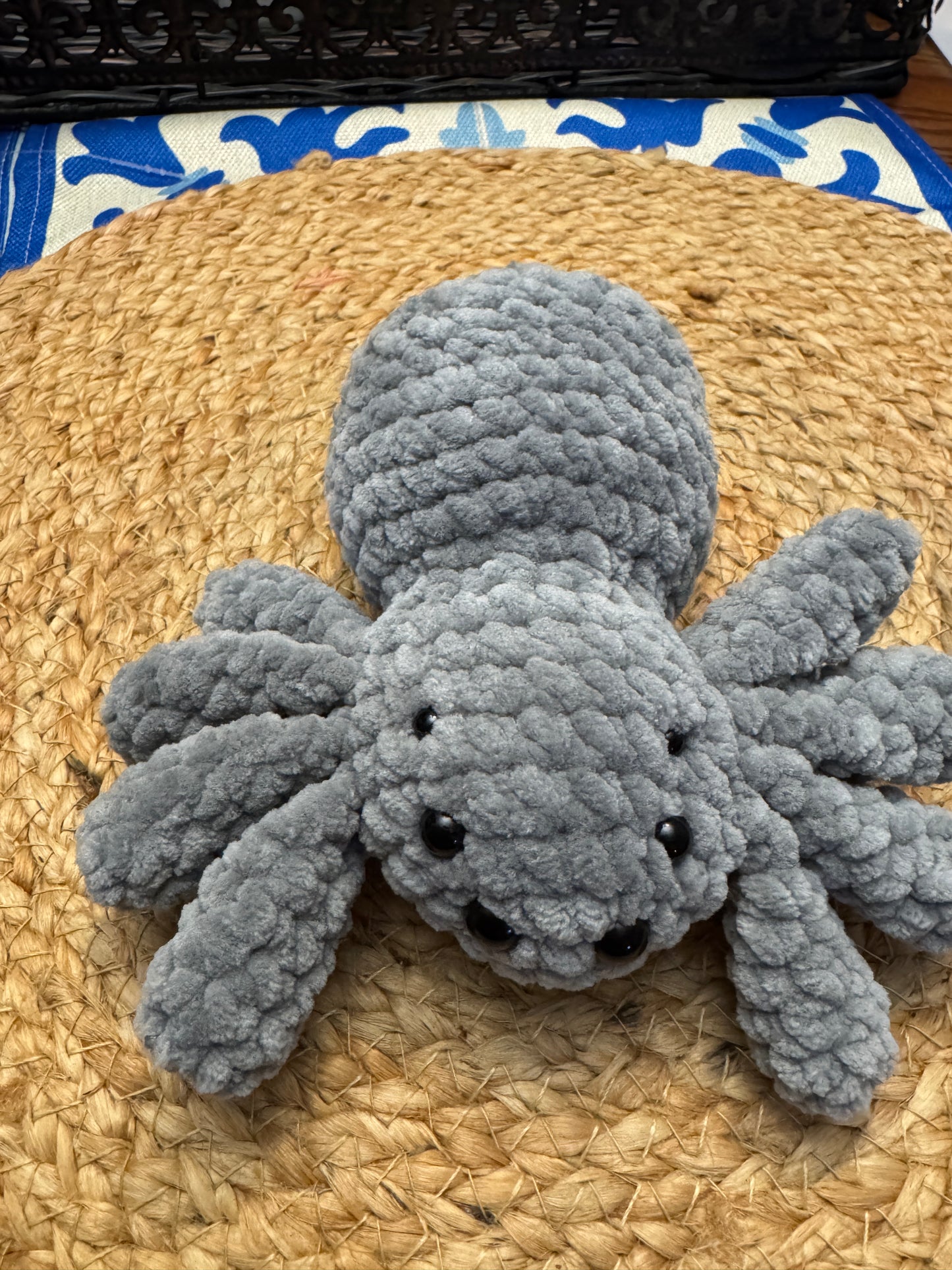 Little Fluffy Spider