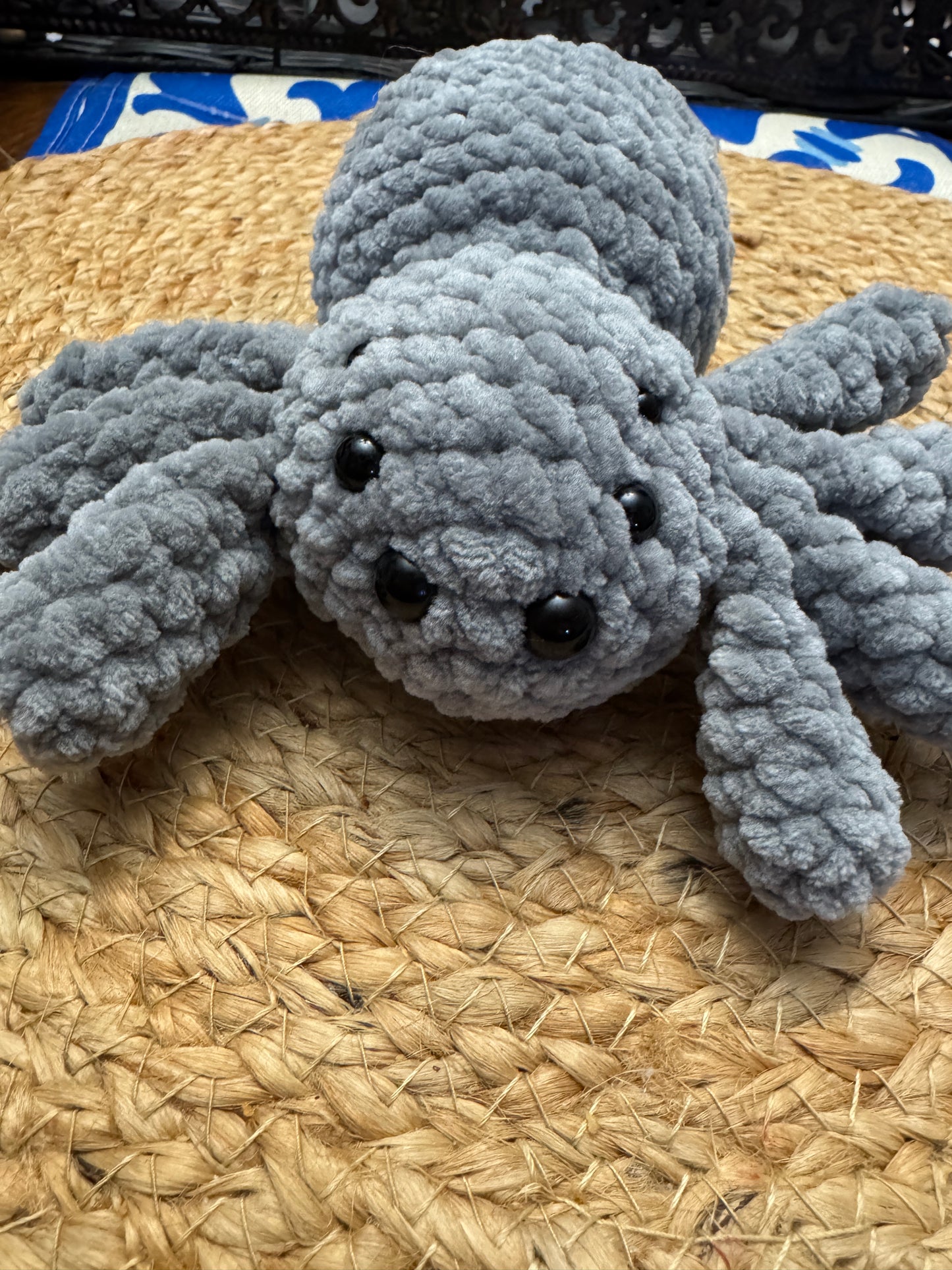 Little Fluffy Spider