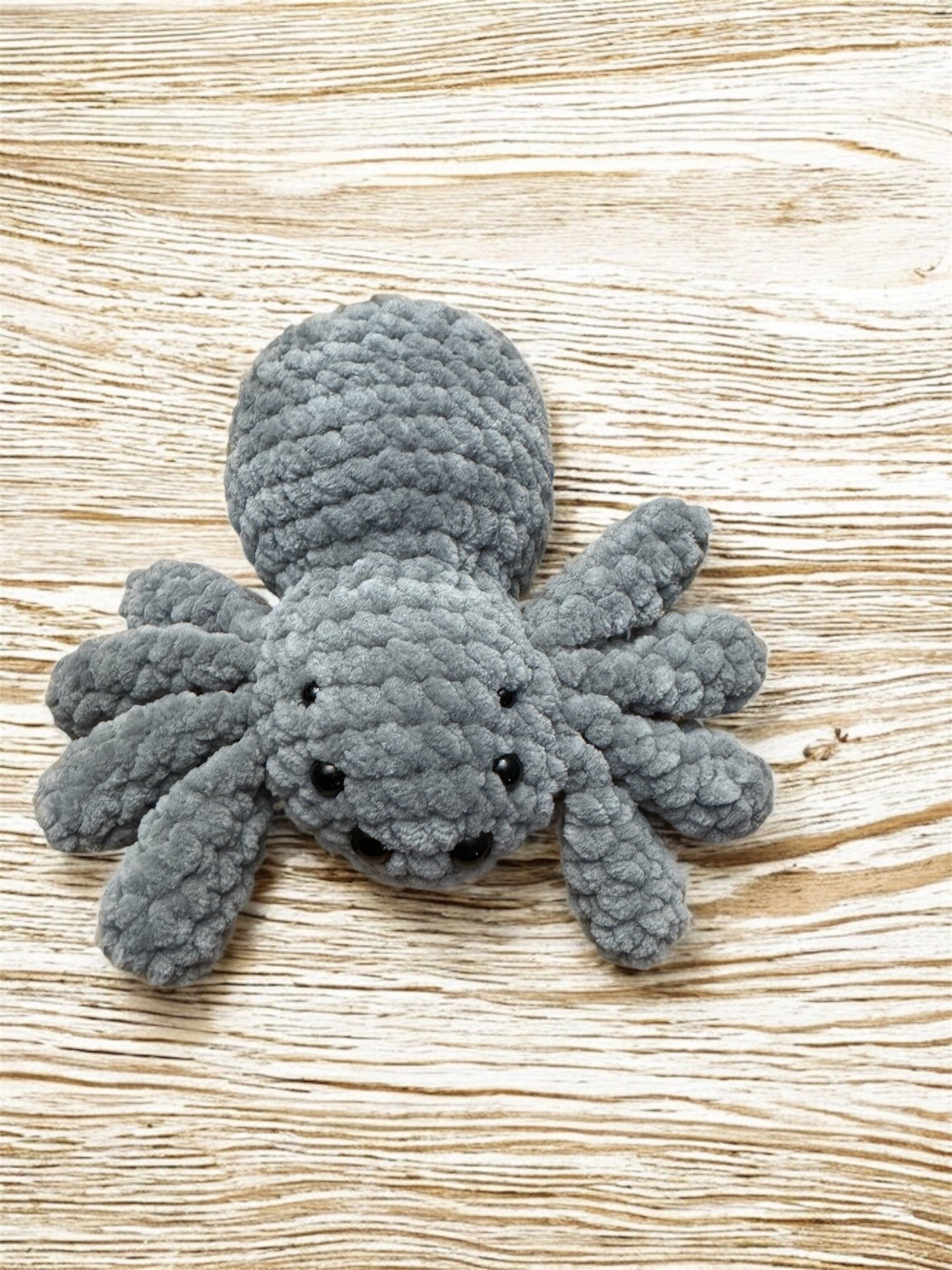 Little Fluffy Spider